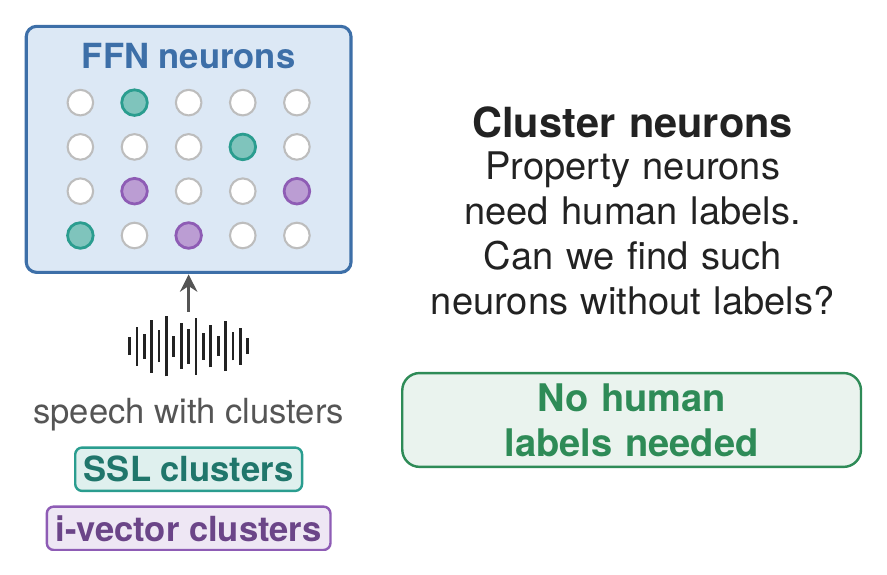 Cluster neurons found without human labels